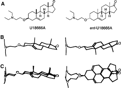 Cholesterol Synthesis Inhibitor Ua And The Role Of Sterol Metabolism And Trafficking In Numerous Pathophysiological Processes Springerlink Cholesterol Synthesis Inhibitor Ua And The Role Of Sterol Metabolism And Trafficking In Numerous Pathophysiological Processes Springerlink