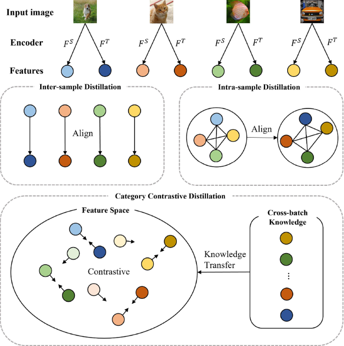 Category contrastive distillation with self-supervised classification ...