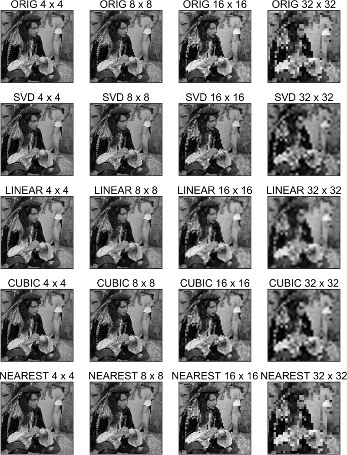Re-scaling images using a SVD-based approach | Signal, Image and Video ...