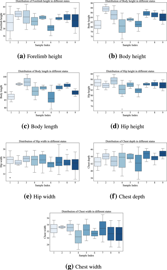 Automatic measurement method for sheep body dimensions based on posture ...
