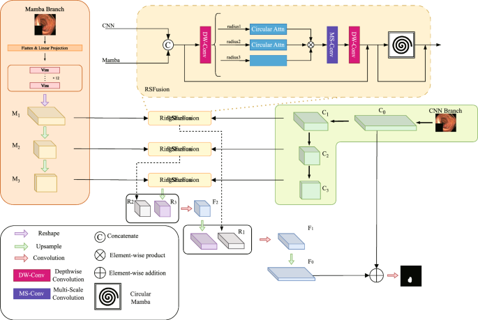 CMambaFuse: Circular mamba feature fusion for medical image ...