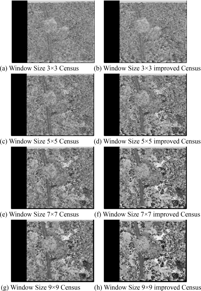 Optimized Census stereo matching algorithm for precise tomato ...