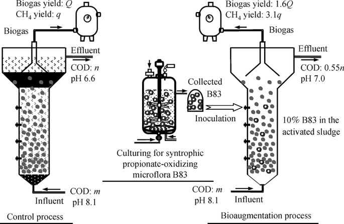 A Syntrophic Propionate Oxidizing Microflora And Its Bioaugmentation On Anaerobic Wastewater Treatment For Enhancing Methane Production And Cod Removal Springerlink