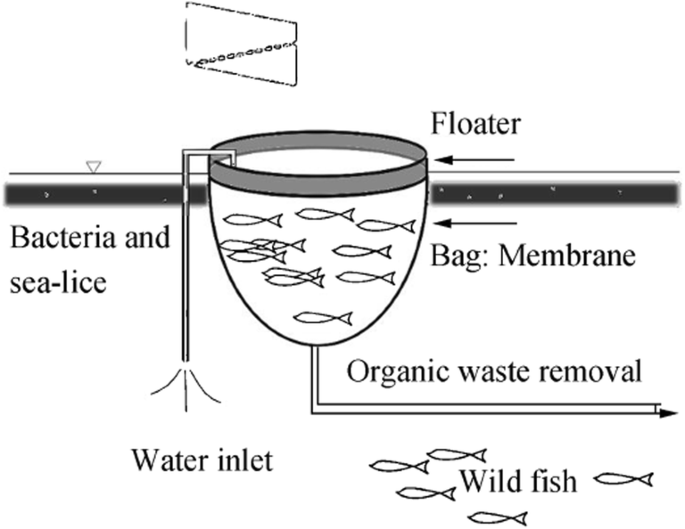 Wave and Current Effects on Floating Fish Farms