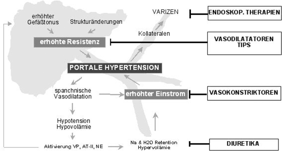 Portale Hypertension Springerlink