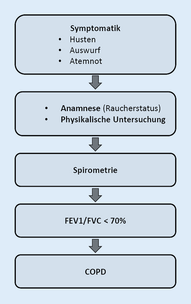 Chronisch obstruktive Lungenerkrankung (COPD) | SpringerLink