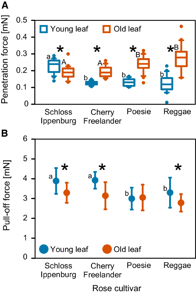 Anchoring Of Greenhouse Whitefly Eggs On Different Rose Cultivars Springerlink Anchoring Of Greenhouse Whitefly Eggs On Different Rose Cultivars Springerlink