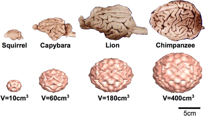 figure 38