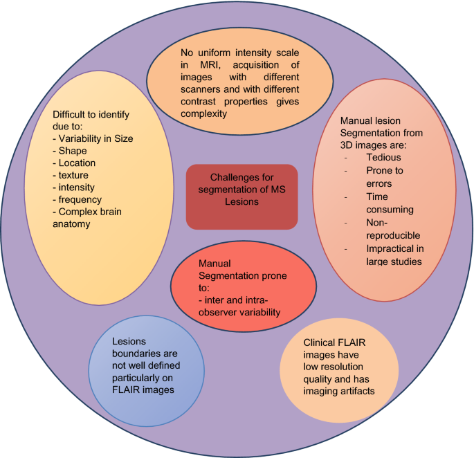 State Of The Art Segmentation Techniques And Future Directions For Multiple Sclerosis Brain Lesions Springerlink State Of The Art Segmentation Techniques And Future Directions For Multiple Sclerosis Brain Lesions Springerlink