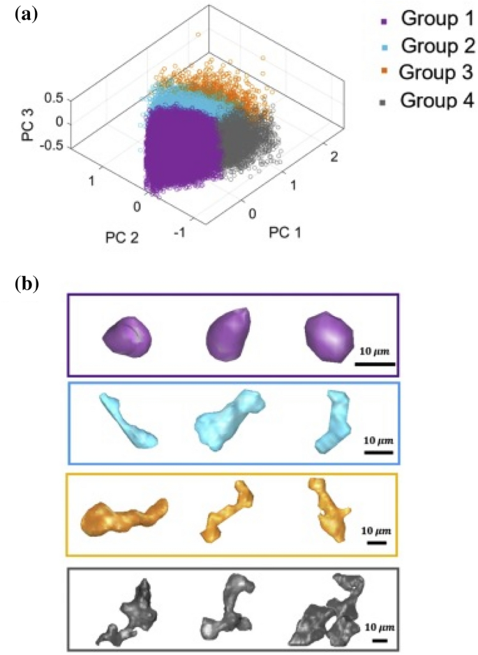 figure 45