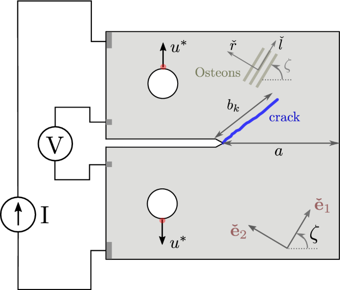 figure 38