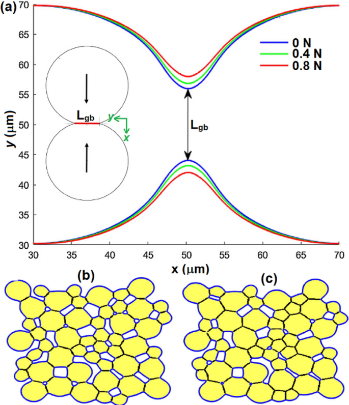 Modeling and Simulation of Sintering Process Across Scales