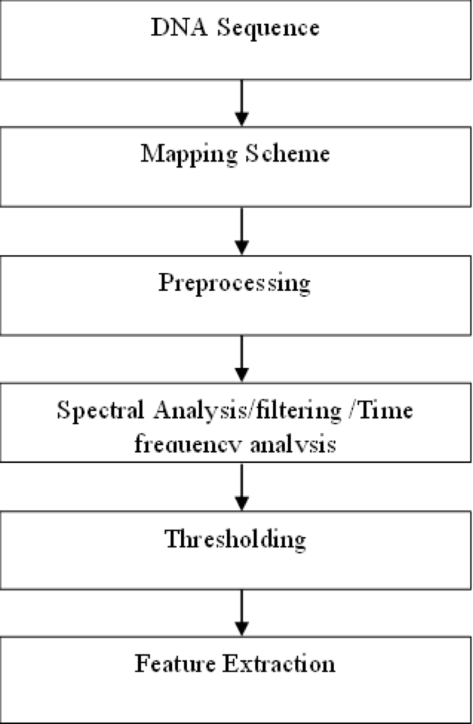 Identification of Tandem Repeats in DNA Sequences Using Signal ...