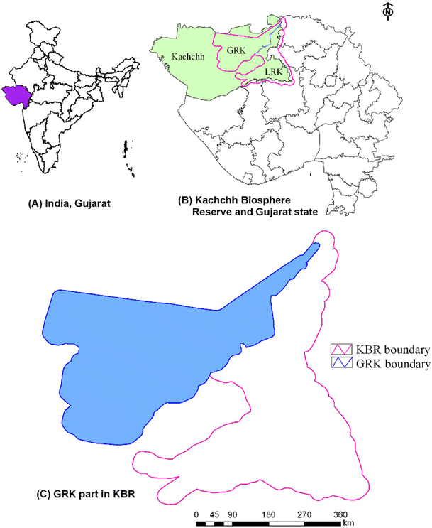 Kachchh In India Map Spatio-Temporal Changes Associated With Natural And Anthropogenic Factors  In Wetlands Of Great Rann Of Kachchh, India | Springerlink