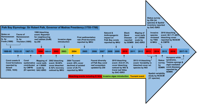 Tracking Decadal Changes in Palk Bay Coral Community Structure: A 