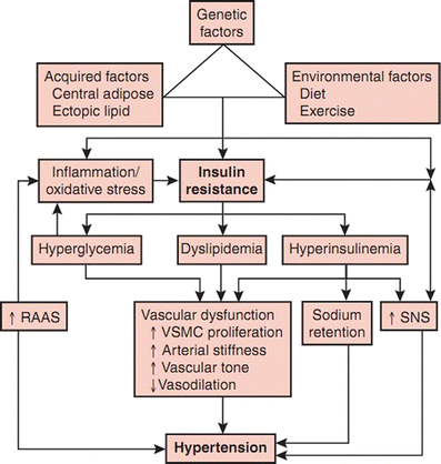 Liss VL diabetes mellitus