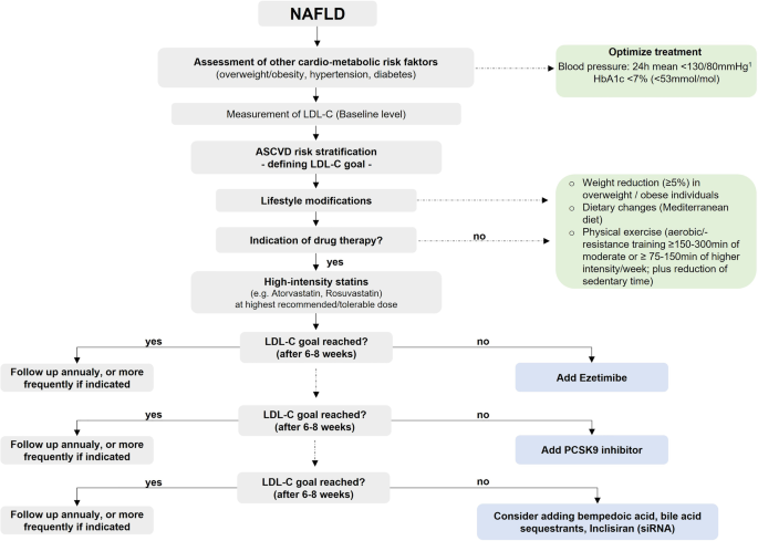 Management Of Dyslipidemia In Patients With Non Alcoholic Fatty Liver Disease Springerlink