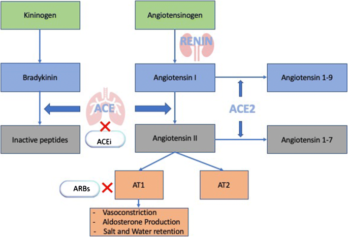 ace inhibitors and diabetes type 2