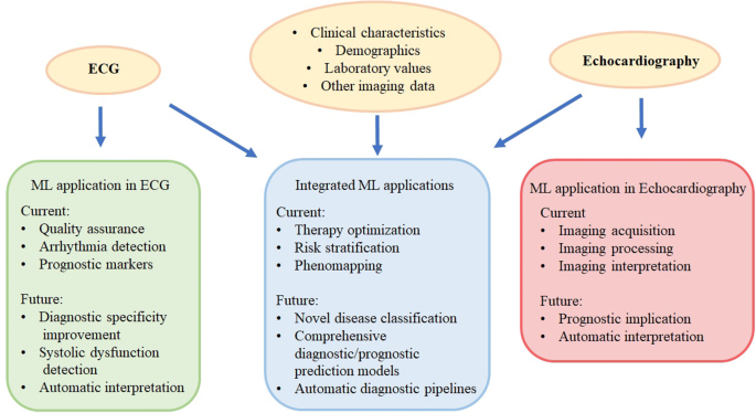 Machine Learning in Electrocardiography and Echocardiography: Technological  Advances in Clinical Cardiology | SpringerLink