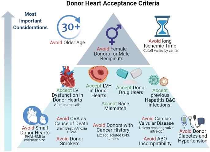 Outcomes After Transplantation of Donor Hearts With Improving Left  Ventricular Systolic Dysfunction