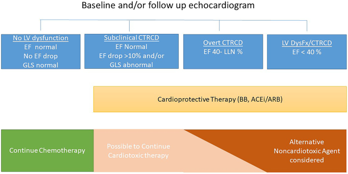 Role of Myocardial Strain Imaging in Chemotherapy Related Cardiotoxicity, Ogunsua
