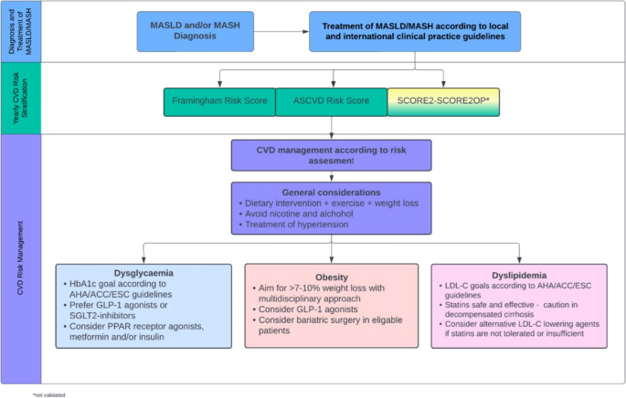 Cardiovascular Risk Reduction in Metabolic Dysfunction-Associated ...
