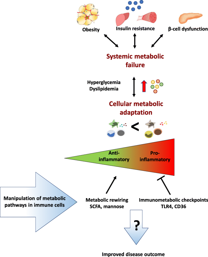 diabetes & metabolism)