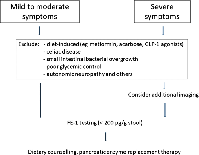 Exocrine Pancreatic Insufficiency in Type 1 and Type 2 Diabetes |  SpringerLink