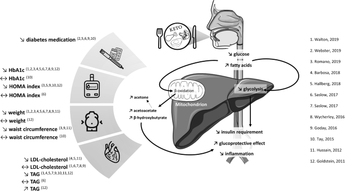 Efficacy of Ketogenic Diets on Type 2 Diabetes: a Systematic Review |  SpringerLink