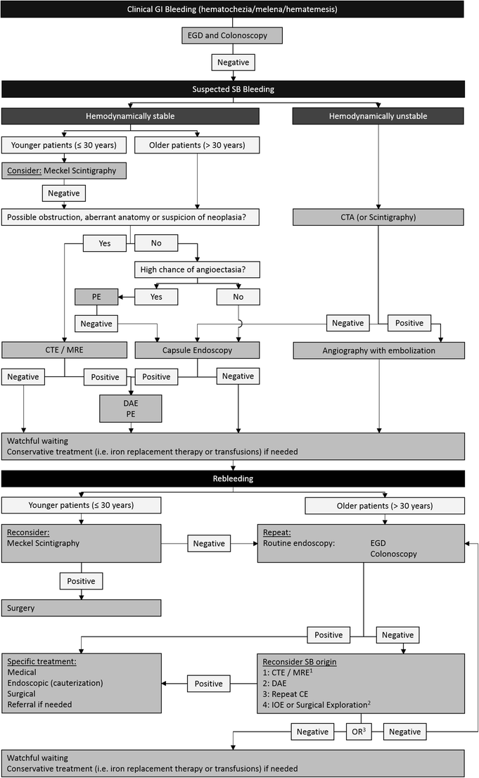 Bleeding Lesion Of The Small Bowel An Extensive Update Leaving No Stone Unturned Springerlink