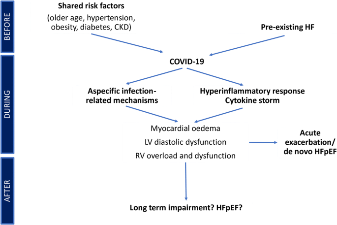 Prominent Longitudinal Strain Reduction of Basal Left Ventricular Segments  in Patients With Coronavirus Disease-19 - Journal of Cardiac Failure