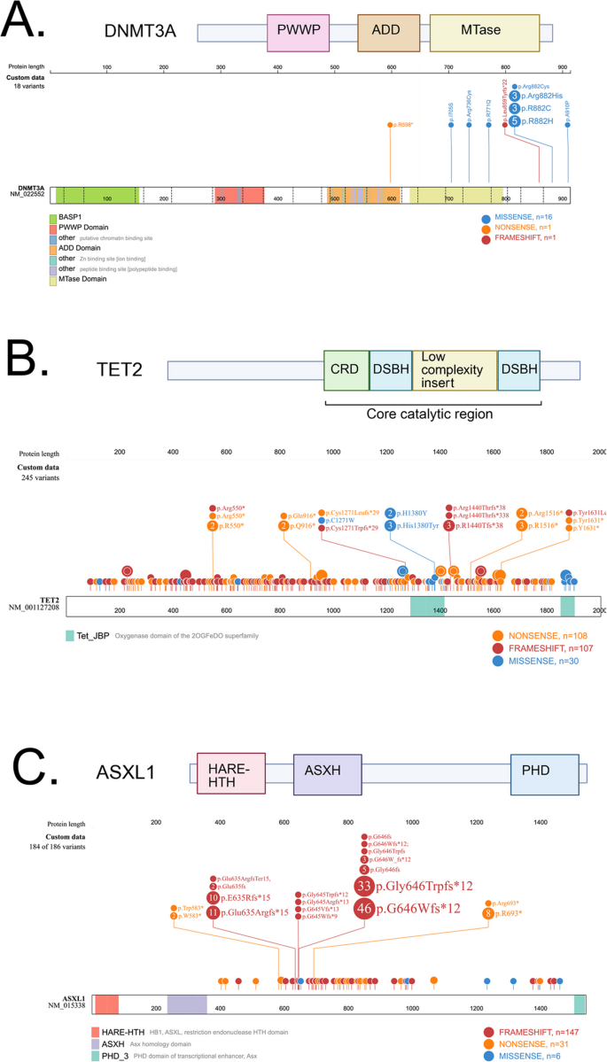 Impact of Epigenetic Mutations in Chronic Myelomonocytic Leukemia ...