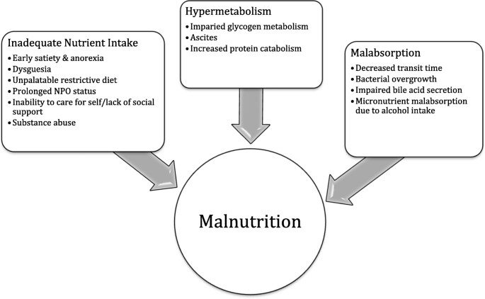 Nutrition Management In The Critically Ill Patient With Cirrhosis Springerlink