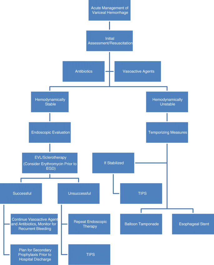 Esophageal Varices Primary Prophylaxis And Prevention And Management Of Rebleeding Springerlink Esophageal Varices Primary Prophylaxis And Prevention And Management Of Rebleeding Springerlink