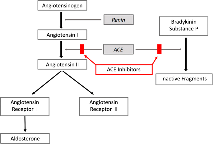 ACE Inhibitor-Induced Angioedema: a Review | SpringerLink