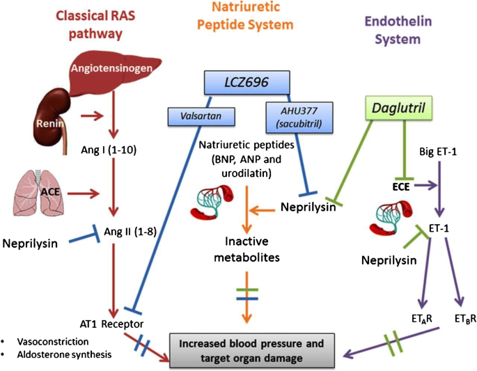 How does Telmisartan compare to other blood pressure medications in terms of onset of action? How does Telmisartan compare to other blood pressure medications in terms of onset of action?