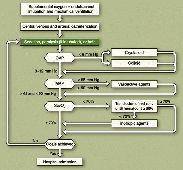 Toxic Shock Syndrome: Background, Pathophysiology, Etiology