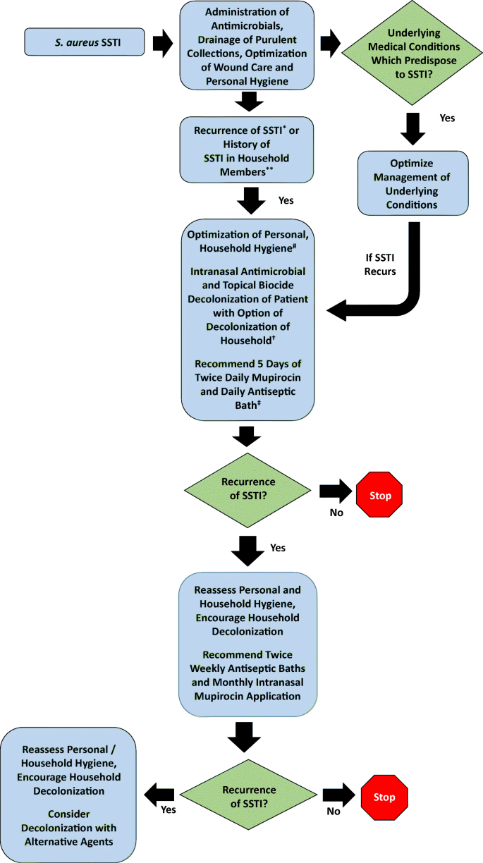 Skin Infections Caused by Staphylococcus aureus, HTML