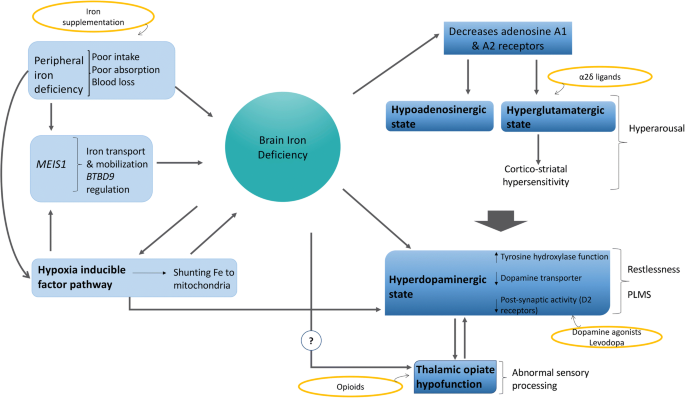 Update On Restless Legs Syndrome From Mechanisms To Treatment Springerlink