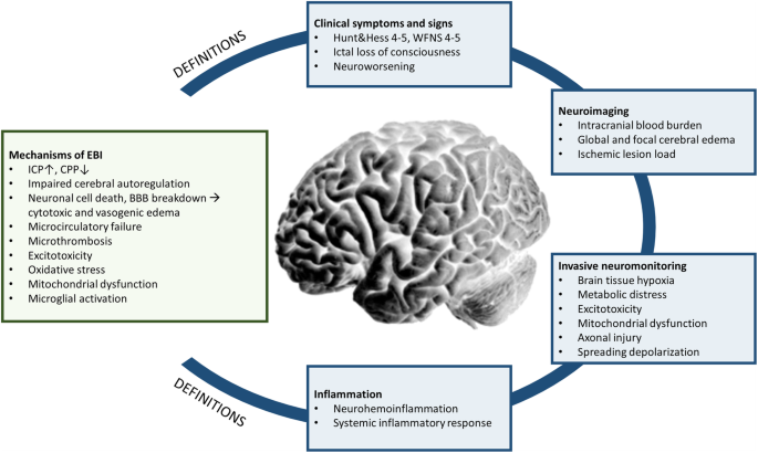 Early Brain Injury After Poor-Grade Subarachnoid Hemorrhage | SpringerLink