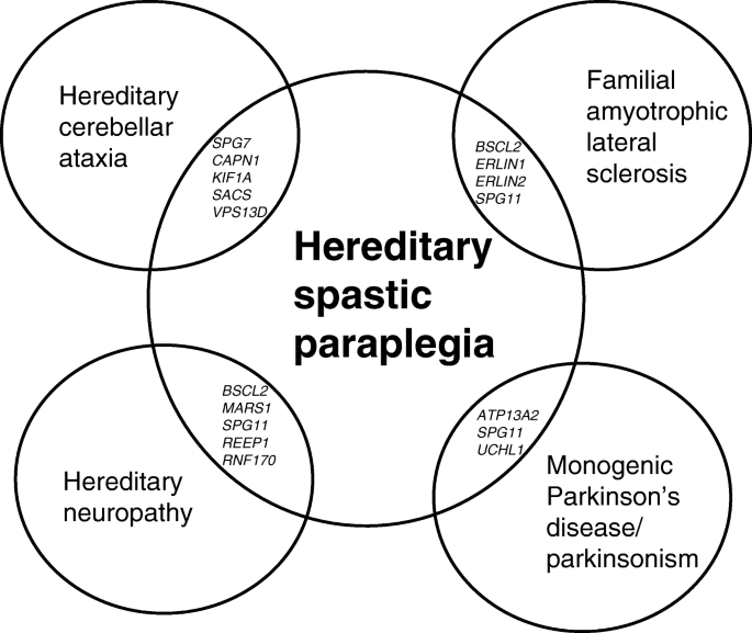 Challenges and Controversies in the Genetic Diagnosis of Hereditary Spastic  Paraplegia | SpringerLink