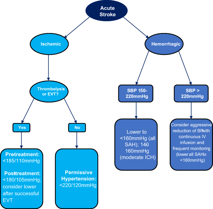 Hypertension during the Acute Phase of Stroke