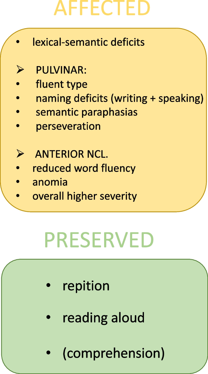 Aphasia Test - an overview