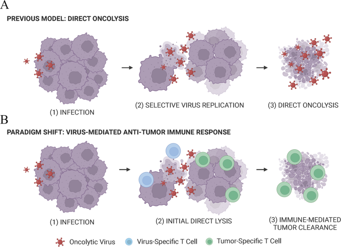 Virus Transformation Virus Against Cancer: Paradigm-Shifting Biological Concepts | Current ...