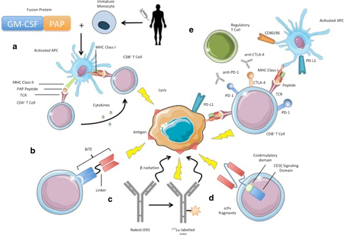 Antigenul specific prostatic (PSA)