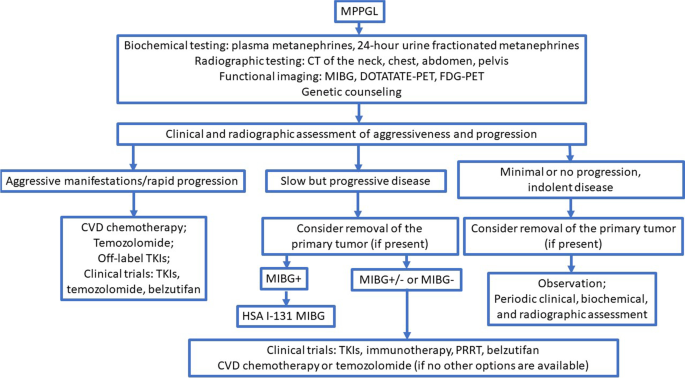 View of Surgical and Pharmacological Management of Functioning  Pheochromocytoma and Paraganglioma