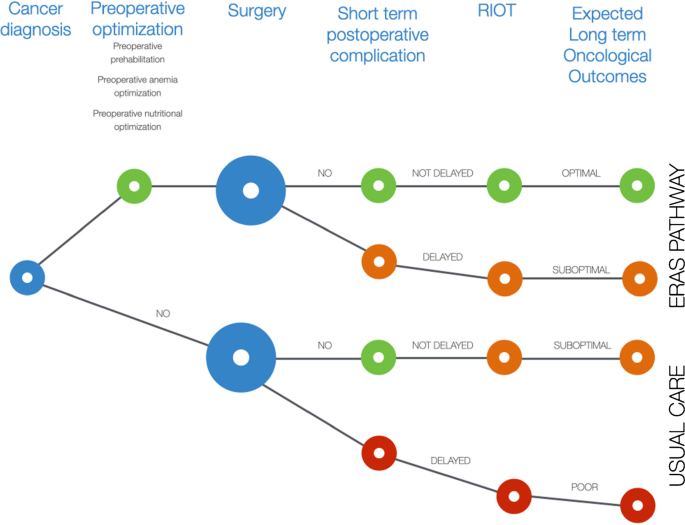 Frontiers  A Scientometric Analysis and Visualization Discovery of  Enhanced Recovery After Surgery