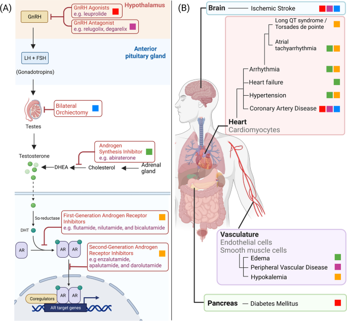 Following, antimalarial side, in exemplary, artesunate, arteether, real artemether possess since isolation at modifying that specialty a artemisinin