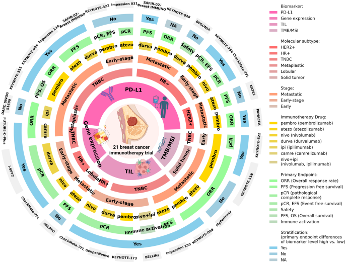 Emerging Biomarkers to Predict Immunotherapy Response in Breast Cancer ...