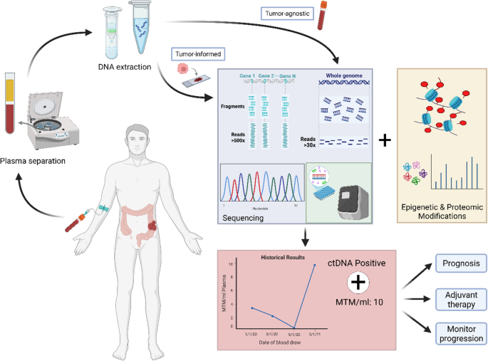 From Early Detection To Advanced Therapies: How Circulating Tumor DNA ...